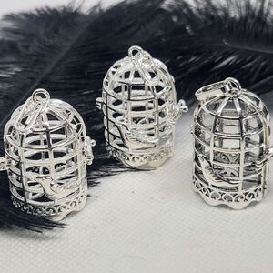 Birdcage Cage Pendant. Lock Necklace. Crystal Holder. Essential Oil Jewlery